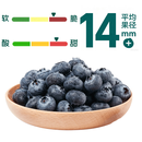香格里拉雪山秘境蓝莓 125g （14mm） 
