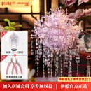 拼酷粉黛二十二凤冠 粉冠粉红色凤冠 3d金属立体拼图diy手工拼装玩具 粉黛二十二凤冠+粉色工具套装