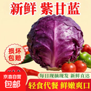 【京喜甄选】新鲜紫甘蓝鲜蔬蓝沙拉买菜家用自种蔬菜减脂健身榨汁 带箱2斤