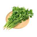 带根香菜100g