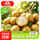 正宗泰国龙眼现摘现发桂圆时令生鲜新鲜水果京东冷链 红标【个头大，特别甜】 净重4.5斤