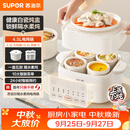 苏泊尔（SUPOR）电炖锅 炖汤盅 电炖盅隔水炖家用全自动煲汤炖汤锅陶瓷燕窝炖盅4.5L蒸炖一体多功能锅 DZ25FC873