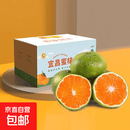 宜昌蜜桔青皮蜜橘酸甜多汁现摘蜜桔生鲜水果彩箱礼盒装家庭实惠装 带箱4斤净重3.7斤彩箱礼盒-家庭实惠装 单果60mm+