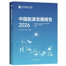 中国能源发展报告2026