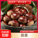 【东东买菜】26年高山新鲜板栗红皮板栗香甜软糯煲汤蔬菜生鲜 试吃款送栗爪 1斤 净重