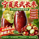 【顺丰直发】宁夏灵武长枣鲜枣当季新鲜水果枣子脆甜红枣冬枣#Jk 【净重3斤】正宗灵武长枣 大果（ 单果2-4cm）顺丰直达