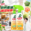 水卫士厨房重油污净480g*2瓶强力去污垢除菌油污清洁剂油烟机清洗水卫仕