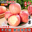 亨迅红富士苹果水果脆甜丑苹果平果新鲜水果生鲜 精选5斤装 （26年新货） 净重4.5斤