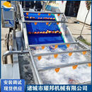 无花果清洗机 水果清洗设备 商用大型气泡全自动苹果洗果机 5000