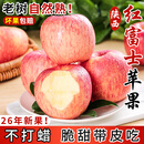 亨迅红富士苹果水果脆甜丑苹果平果新鲜水果生鲜 精选5斤装 （26年新货） 净重4.5斤