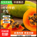 【东东农场专供】正宗红心牛奶木瓜新鲜水果送礼 中瓜净重5斤（单果400+）