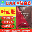 螯合铁肥补铁改善叶面发黄 500g【50袋装】25斤