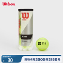 Wilson威尔胜TITANIUM 训练网球罐装 3颗装【球上数字随机】