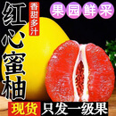 元珍鲜诚福建新鲜红心柚子新鲜红柚采摘水果节日送礼 含箱10斤净重9斤优选果