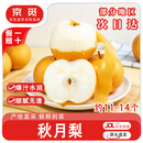 京觅山东烟台莱阳头茬秋月梨 净重8斤大果 单果250g+ 源头直发包邮
