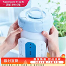 特百惠（Tupperware）净水器滤芯 纳美玲珑牌TPW-C1型家用厨房直饮机滤水配件