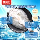 鲜京采三去白蕉海鲈鱼3斤/3条  珠海地标 京东自有品牌 鱼类 源头直发