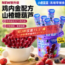 小鹿蓝蓝0添加蔗糖山楂棒鸡内金糖葫芦宝宝儿童零食桑葚蓝莓味220g