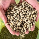 发酵大豆底肥整袋装生根壮苗膨果大豆肥农用纯大豆发酵专用有机肥 80斤*25袋【整吨特惠】