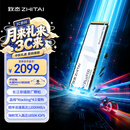 致态（ZhiTai）长江存储 2TB SSD固态硬盘 NVMe M.2接口 TiPlus9100 系列 (PCIe 5.0 产品)