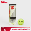 Wilson威尔胜TITANIUM 训练网球罐装 3颗装【球上数字随机】