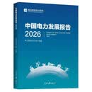 中国电力发展报告2026