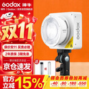 神牛（Godox）摄影灯双色温可调便携夜拍灯人像补光灯户外控制室电影视频摄像灯 ML100Bi L【官方标配】