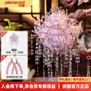 拼酷粉黛二十二凤冠 粉冠粉红色凤冠 3d金属立体拼图diy手工拼装玩具 粉黛二十二凤冠+粉色工具套装
