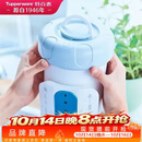 特百惠（Tupperware）净水器滤芯 纳美玲珑牌TPW-C1型家用厨房直饮机滤水配件