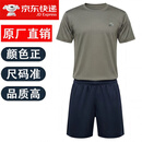 体能服短袖套装夏季透气速干体能训练圆领T恤灰绿军训上衣短裤 灰绿体能套装 175/92-96（适合140-158斤）