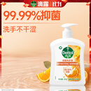 滴露（Dettol）洗手液柑橘500g瓶 健康抑菌消毒清爽 儿童家庭非补充装替换