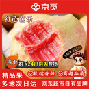 京觅芭乐 福建红心芭乐番石榴 净重3斤单果150g+ 奶油芭乐 源头直发
