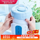 特百惠（Tupperware）净水器滤芯 纳美玲珑牌TPW-C1型家用厨房直饮机滤水配件