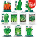 北蔬萝卜白菜籽香菜菠菜胡萝卜生菜秋冬菜种 10种秋冬季蔬菜种子套餐
