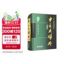 中医大辞典（第3版）中国医学常用辞典 必备中医工具书