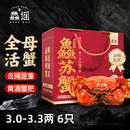 【活蟹】鱻谣大闸蟹全母3.0-3.3两3对6只去绳足重鲜活螃蟹现货生鲜蟹礼盒兴化 节日送礼