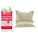 字画-糖果清新图全棉枕头套48*74单只装【文化用品】