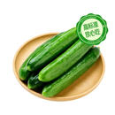 【安心菜】供港基地水果黄瓜450g