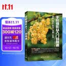 手机摄影从入门到精通