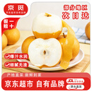 京觅山东烟台莱阳头茬秋月梨 净重8斤大果 单果250g+ 源头直发包邮