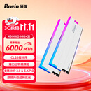 佰维（BIWIN）48G(24G×2)套装 DDR5 6000频率台式机内存条 时空行者DW100 RGB灯条(C28)白色AI PC电脑存储配件