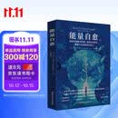 能量自愈：清理身体能量堵塞 重塑信念模式 唤醒与生俱来的自愈力