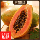 红心牛奶木瓜冰糖心木瓜新鲜水果现摘现发 带箱5斤单果400g+