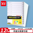 齐心（COMIX）5/10色装A4 五色/十色分页年度索引纸11孔PP隔页标签办公用品 年度12页装-IX894