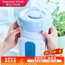 特百惠（Tupperware）净水器滤芯 纳美玲珑牌TPW-C1型家用厨房直饮机滤水配件