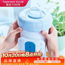 特百惠（Tupperware）净水器滤芯 纳美玲珑牌TPW-C1型家用厨房直饮机滤水配件