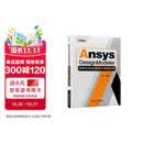 Ansys DesignModeler参数化特征建模与仿真指南