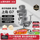 上岛佳【源头直供】新品电脑椅G7人体工学椅办公座椅电竞椅升降扶手可躺 G7灰框灰网-加搁脚 可旋转可升降扶手 钢 （承重加强）