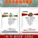 嘧菌酯噁霉灵颗粒剂恶霉灵土壤消毒药根腐立枯枯萎病农药杀菌剂 2kg（1kg+1kg）/10套