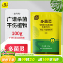 史丹利（STANLEY）多菌灵100g 花药多菌菌灵杀菌剂花卉百菌清白粉兰花黑斑病专用药
